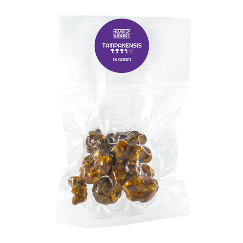 House of Smart - Truffels - Tampanensis (15 g)