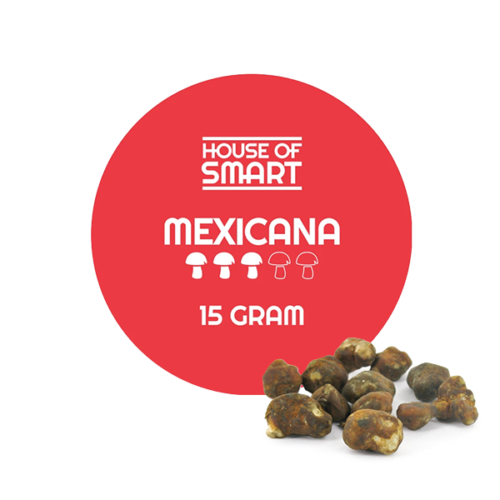 House of Smart - Truffels - Mexicana  (15 g)