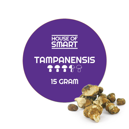 House of Smart - Truffels - Tampanensis (15 g)